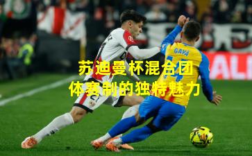 苏迪曼杯混合团体赛制的独特魅力