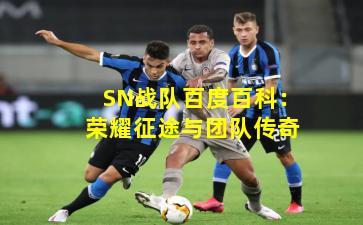 SN战队百度百科：荣耀征途与团队传奇
